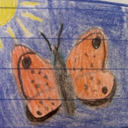 Schmetterlinge