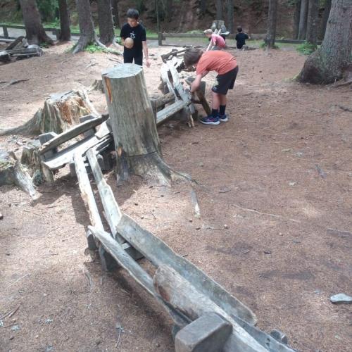 2025-06-29 Kugelwald MST