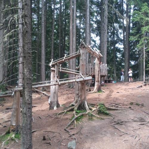 2025-06-29 Kugelwald MST