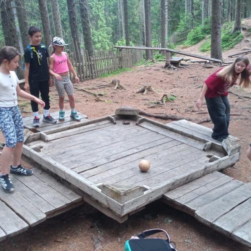 2025-06-29 Kugelwald MST