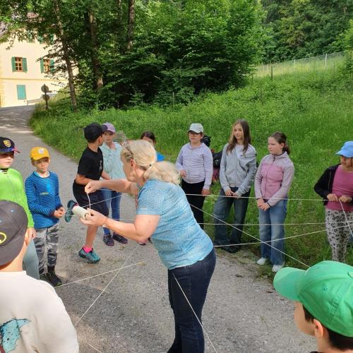 2025-06-23 Waldtag