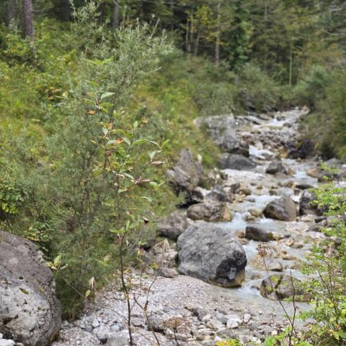 2025-09-17 Wandertag 2.Klassen