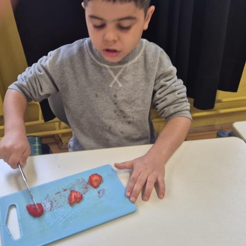 Vorschule Gemüse 25-11-27