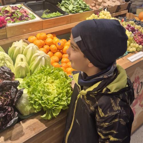 Vorschule Gemüse 25-11-27