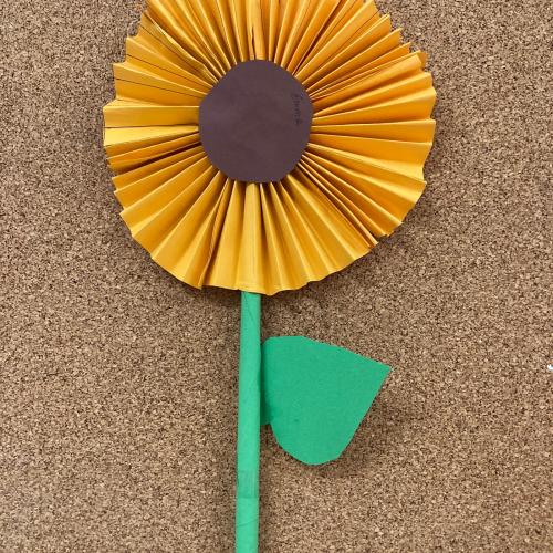 2025-11-12 Herbstbilder