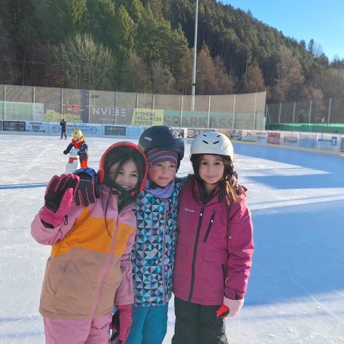 26-01-19 3b Eislaufen