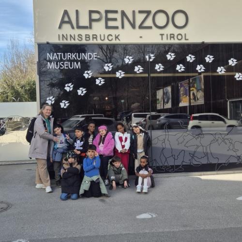 2026-03-26 Alpnezoo