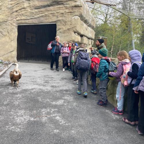 26-04-17 Alpenzoo 2a