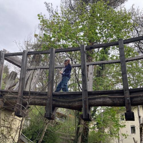 26-04-17 Alpenzoo 2a