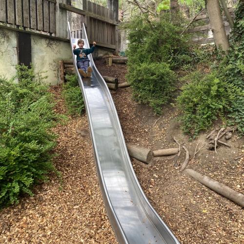 26-04-17 Alpenzoo 2a