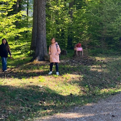 26-04-30 Wald 2a