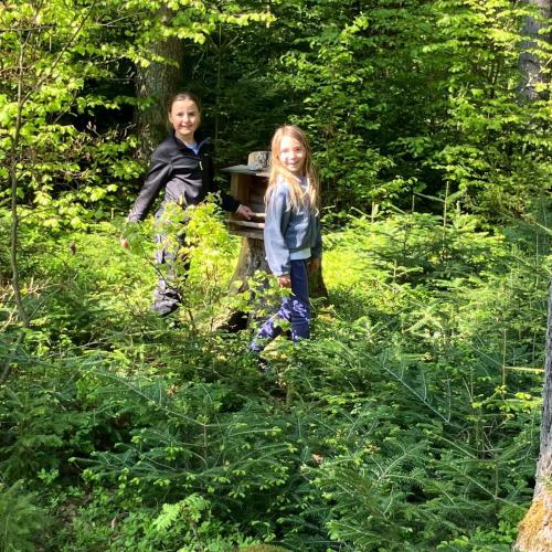 26-04-30 Wald 2a