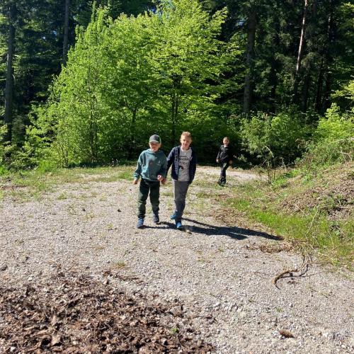 26-04-30 Wald 2a