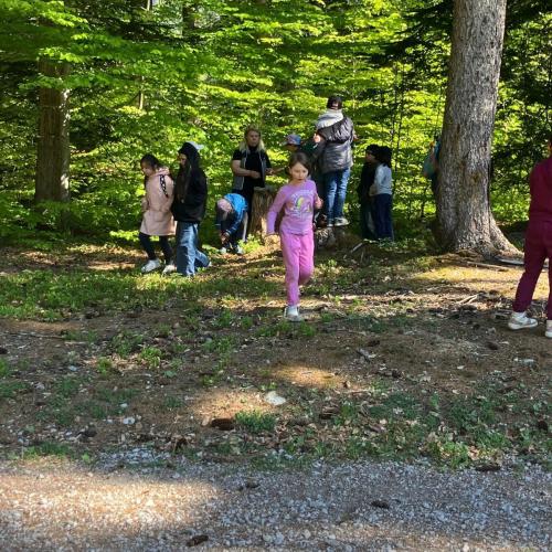 26-04-30 Wald 2a