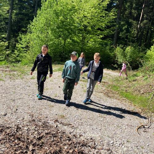 26-04-30 Wald 2a