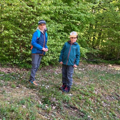 26-04-30 Wald 2a