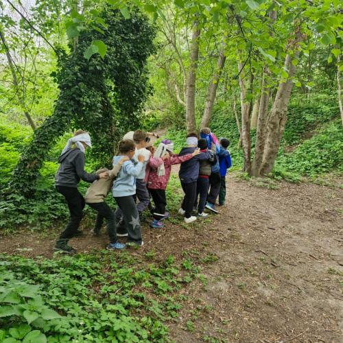 2026-05-20 NATUR
