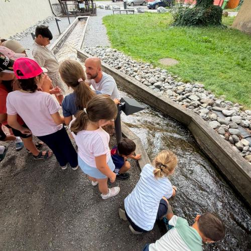 2026-06-29 Wetter 1b
