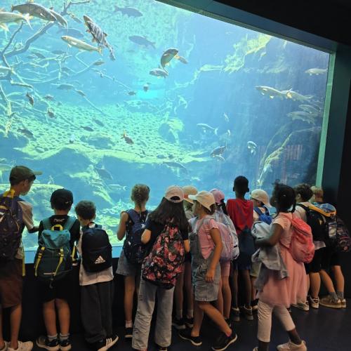 2026-06-17 Alpenzoo 2b2c