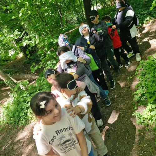 2026-05-20 NATUR