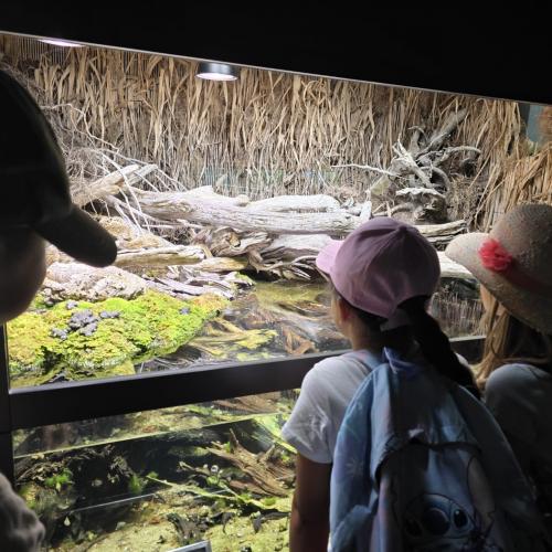 2026-06-17 Alpenzoo 2b2c