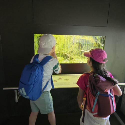 2026-06-17 Alpenzoo 2b2c