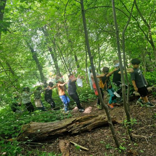 2026-05-20 NATUR