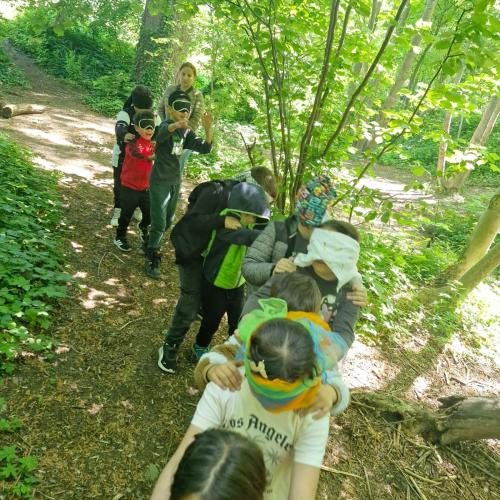2026-05-20 NATUR