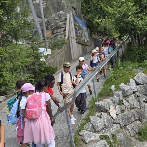 2026-06-17 Alpenzoo 2b2c