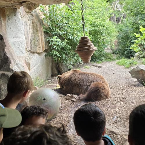 2026-06-17 Alpenzoo 2b2c