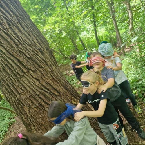 2026-05-20 NATUR
