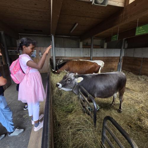 2026-06-17 Alpenzoo 2b2c