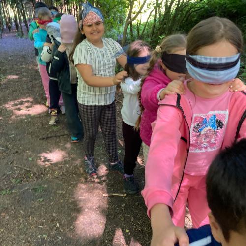 2026-05-20 NATUR
