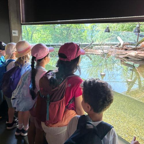 2026-06-17 Alpenzoo 2b2c