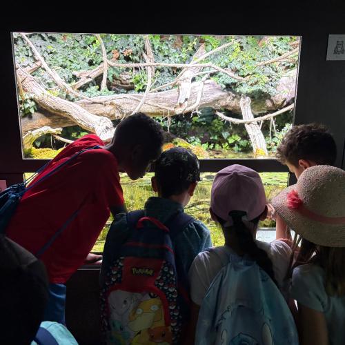 2026-06-17 Alpenzoo 2b2c