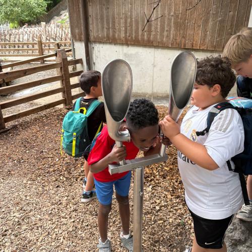 2026-06-17 Alpenzoo 2b2c