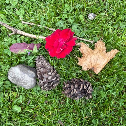 2026-05-20 NATUR