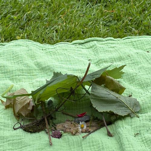 2026-05-20 NATUR