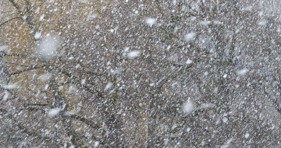 26-01-20 Wintersportwoche