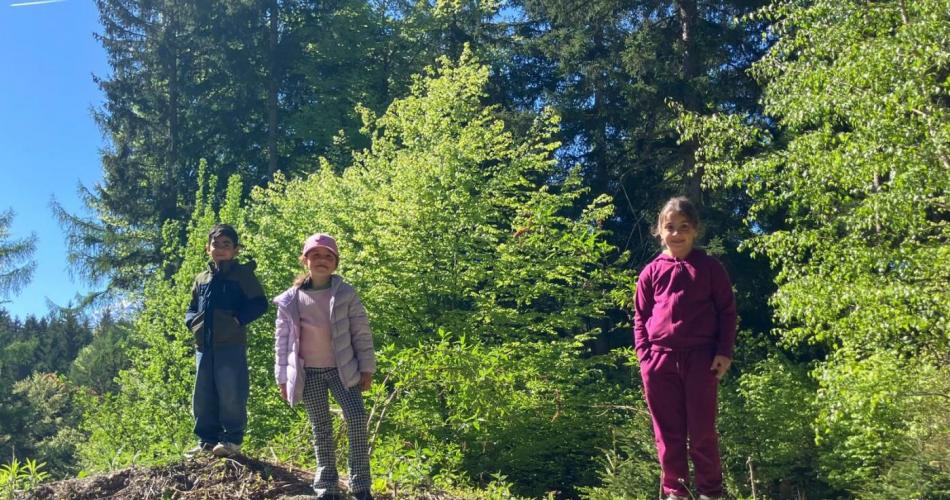 26-04-29 Wald 2a